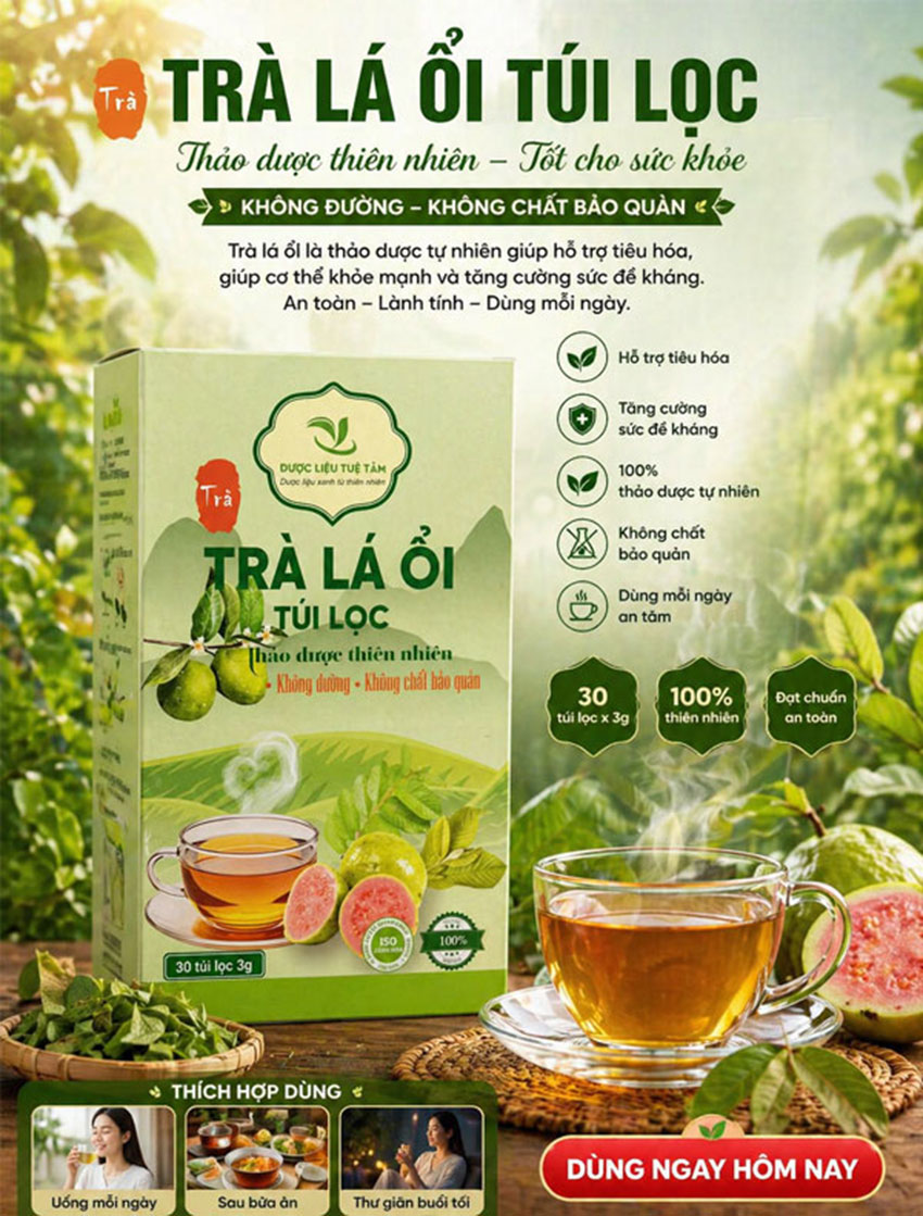 trà lá ổi túi lọc