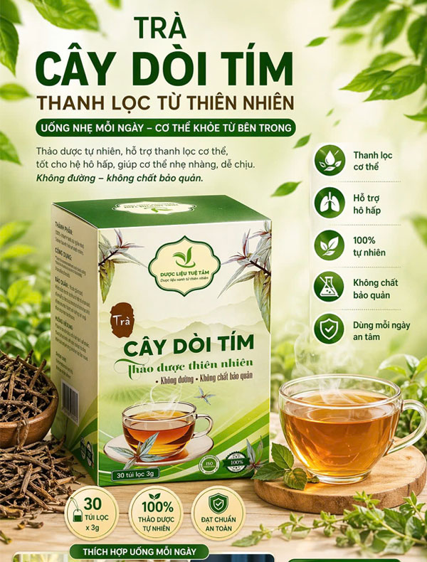 Cây dòi thân tím túi lọc gồm 30 gói 3g
