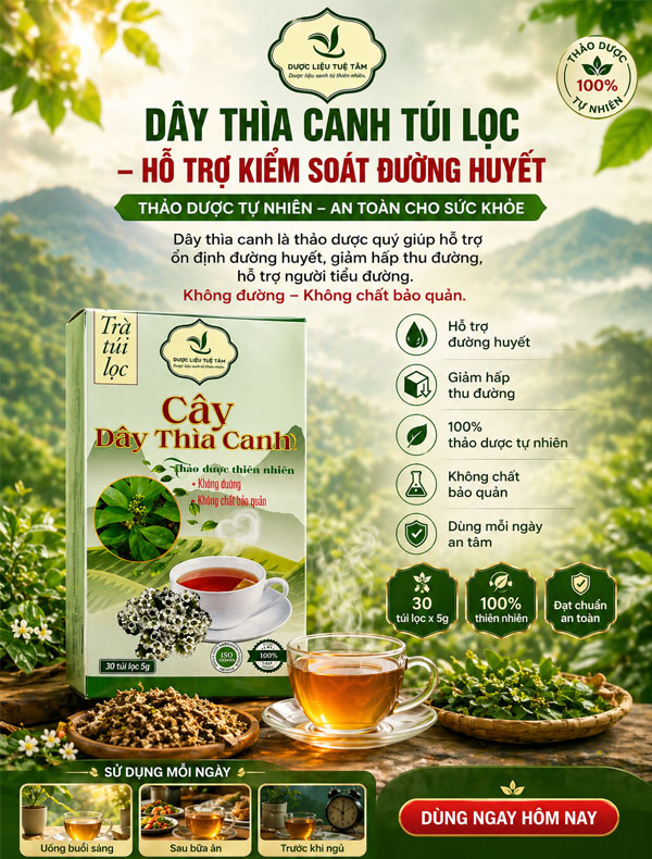 Trà dây thìa canh túi lọc hộp có 30 gói 5g